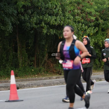 Runner Photo 4019906