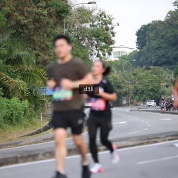 Runner Photo 4020002