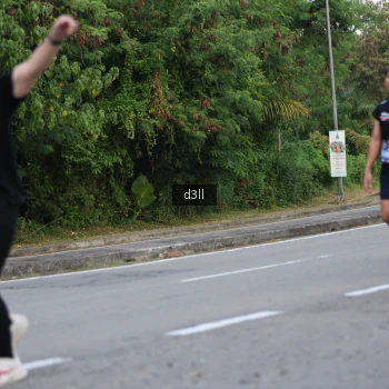 Runner Photo 4020262