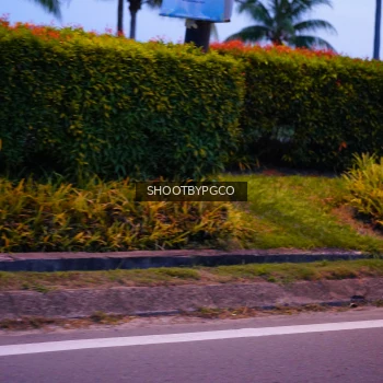 Runner Photo 4030064