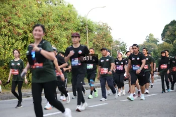 Runner Photo 4040825