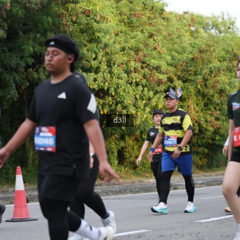 Runner Photo 4041091