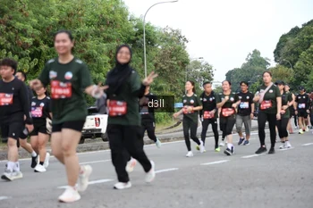 Runner Photo 4052957