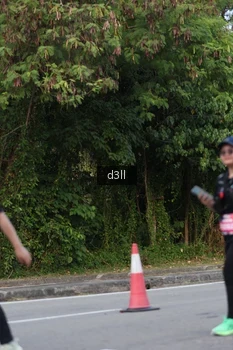Runner Photo 4081518