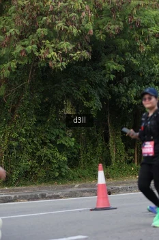 Runner Photo 4081524