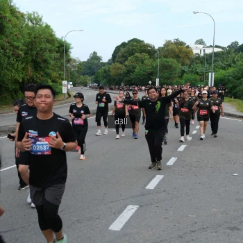 Runner Photo 4086685