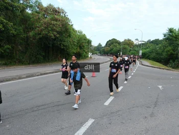 Runner Photo 4086795