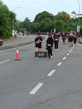 Runner Photo 4087097
