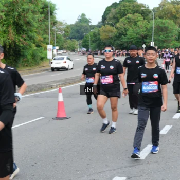 Runner Photo 4087184