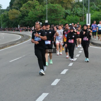 Runner Photo 4087294