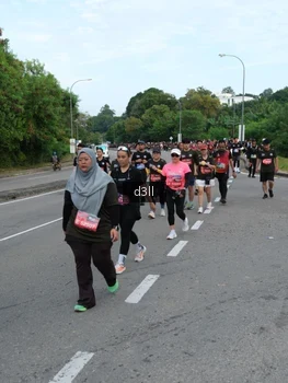 Runner Photo 4091017