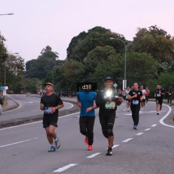 Runner Photo 4091661