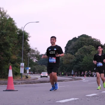 Runner Photo 4091765