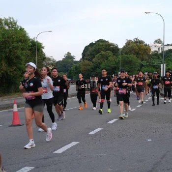 Runner Photo 4093056