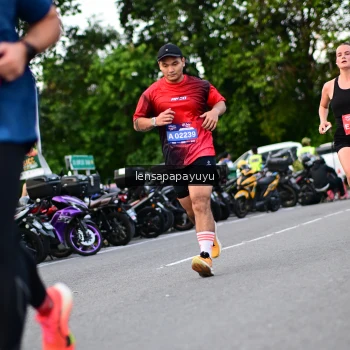 Runner Photo 4116498
