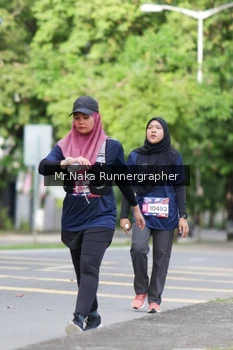 Runner Photo 41238