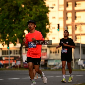 Runner Photo 4127660