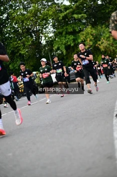 Runner Photo 4131351