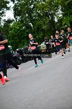 Runner Photo 4132841