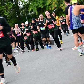 Runner Photo 4135860