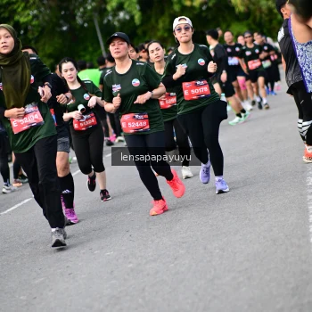 Runner Photo 4137335