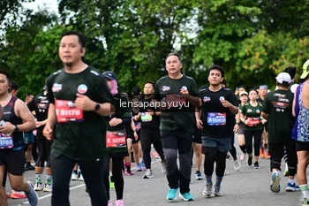Runner Photo 4138862