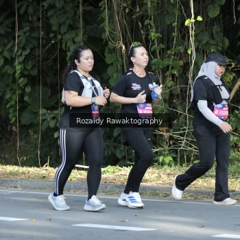Runner Photo 4143976