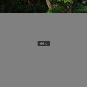 Runner Photo 41591