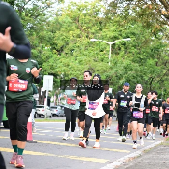 Runner Photo 4161847