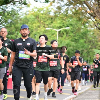 Runner Photo 4161860