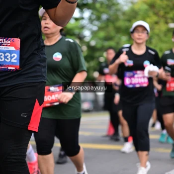 Runner Photo 4162641