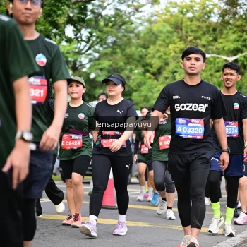 Runner Photo 4163413