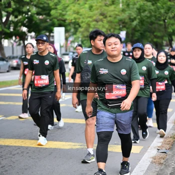 Runner Photo 4164037