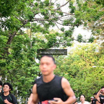 Runner Photo 4165354