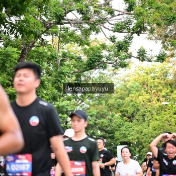 Runner Photo 4165355
