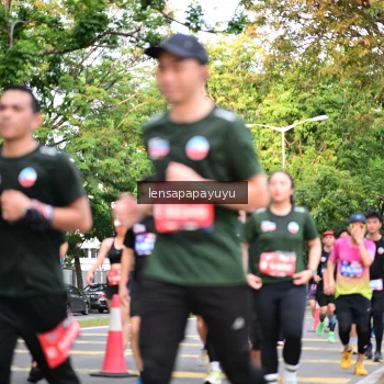 Runner Photo 4165362