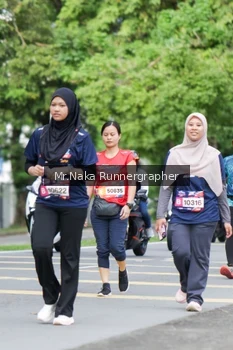 Runner Photo 41838