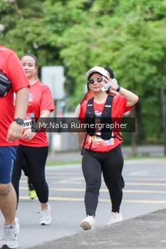Runner Photo 41891