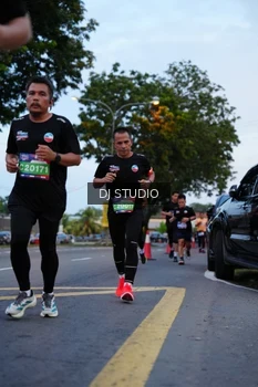 Runner Photo 4194600