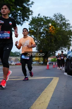 Runner Photo 4194667