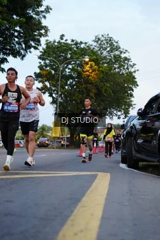 Runner Photo 4195002