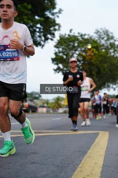 Runner Photo 4195848
