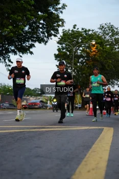 Runner Photo 4196229