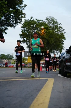 Runner Photo 4196240
