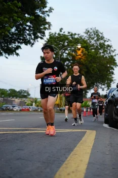 Runner Photo 4196461