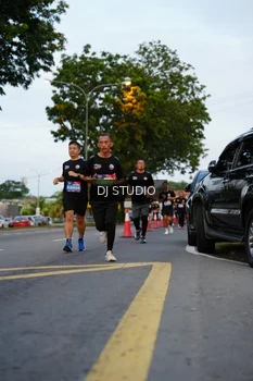 Runner Photo 4196798