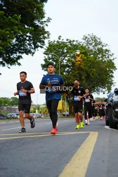 Runner Photo 4198194