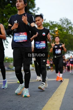 Runner Photo 4198290