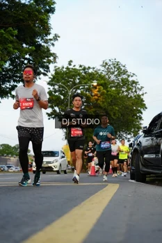 Runner Photo 4199239