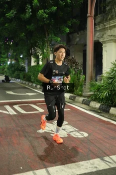 Runner Photo 4203074